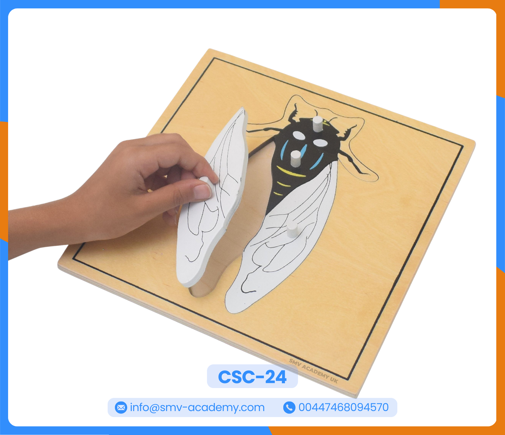 بازل أجزاء الذبابة - Parts of a Fly Puzzle